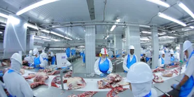 JBS (JBSS3): resultados sólidos temperados com dividendos e recompras animam analistas