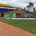 Suzano (SUZB3): Lucro de R$ 5 bilhões no 2T25: Veja o que dizem os analistas sobre o desempenho da ação