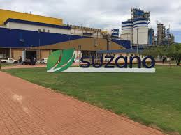 Suzano (SUZB3): Lucro de R$ 5 bilhões no 2T25: Veja o que dizem os analistas sobre o desempenho da ação