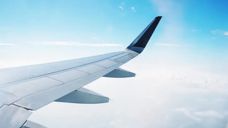 5 ações para comprar no mesmo preço de uma passagem para Orlando