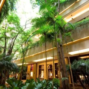 JHSF (JHSF3) inaugura CJ Shops Jardins nesta sexta-feira