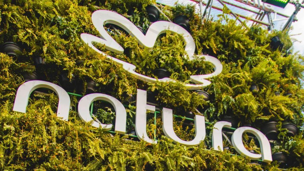 Natura (NTCO3) pagará R$ 979 milhões em dividendos nesta sexta-feira (19); saiba mais