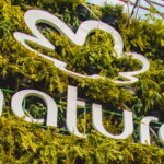 Natura (NTCO3) pagará R$ 979 milhões em dividendos nesta sexta-feira (19); saiba mais
