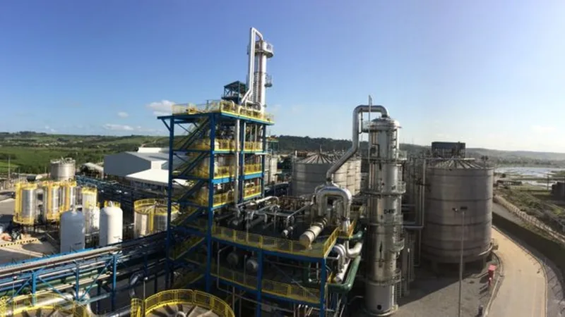 Balanço da Klabin (KLBN11) agrada XP, que vê alta nas units