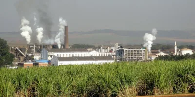 São Martinho (SMTO3) tem queda de 51% no lucro do terceiro trimestre do ano-safra 23/24