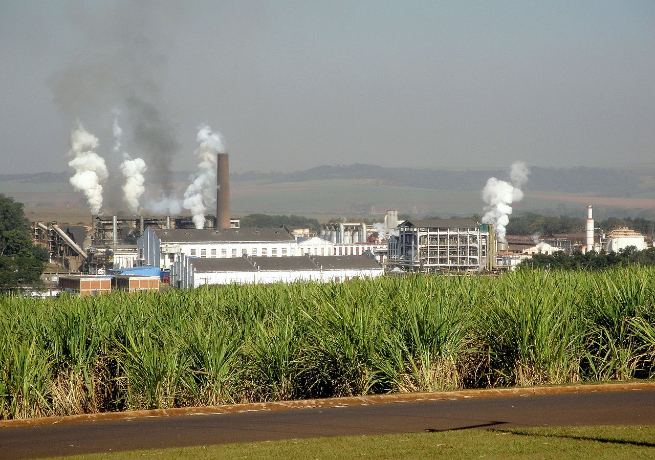 Mega Forte Filial em Pradópolis, SP