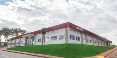 Minerva (BEEF3): lucro líquido no 4T20 alcançou R$ 114,1 milhões, queda de 53,2%
