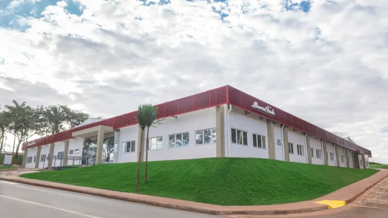 Minerva (BEEF3) pagará dividendos de R$ 200 milhões