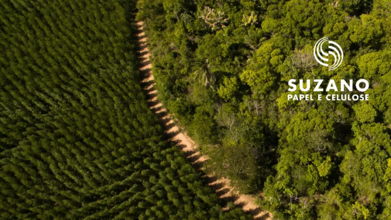 Suzano (SUZB3): ganhos de sinergia após fusão com Fibria alcançam R$ 1,3 bi por ano