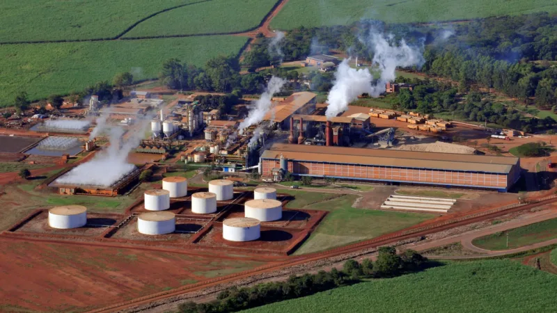 Jalles Machado (JALL3) abre em alta de 16% em estreia na B3