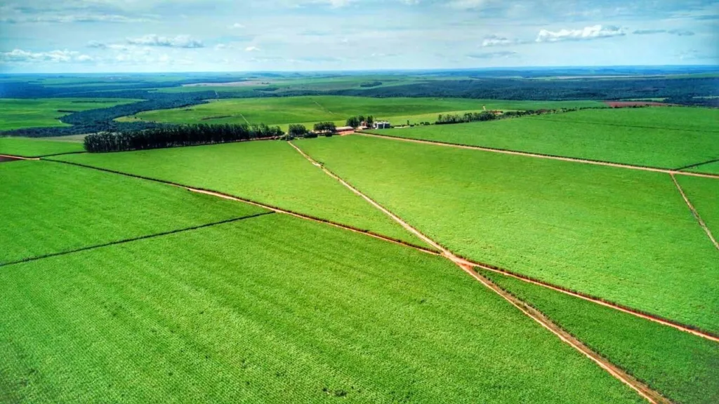 Agrotech: nova geração do agronegócio une campo e tecnologia