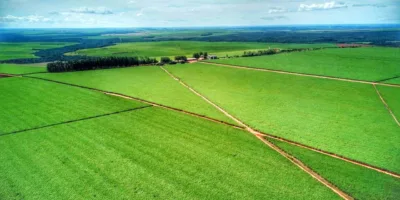 Agrotech: nova geração do agronegócio une campo e tecnologia