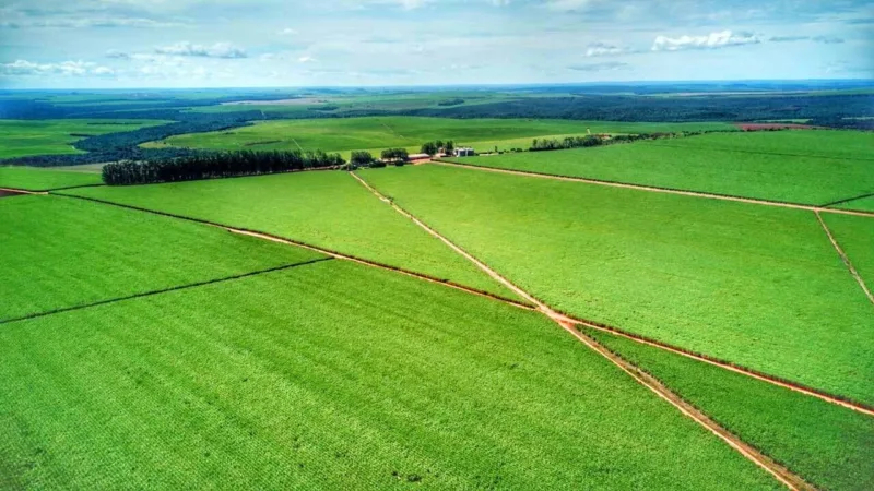 Agrotech: nova geração do agronegócio une campo e tecnologia