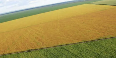 BrasilAgro (AGRO3) lucra R$ 107,8 milhões no trimestre findo em setembro, alta de 43%