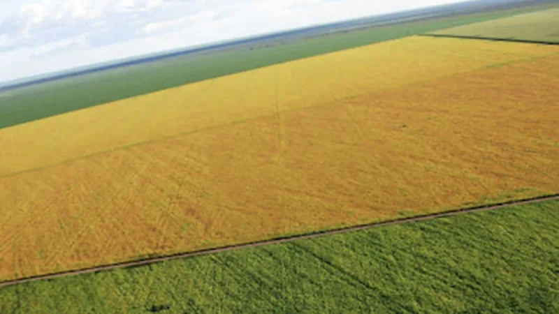 BrasilAgro (AGRO3): Instituto passa a integrar pacto da ONU
