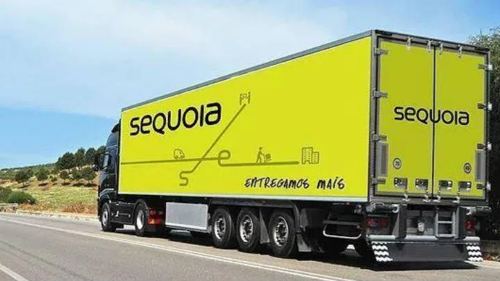 Sequoia (SEQL3): lucro dobra em 2020 impulsionado por pandemia e aquisições