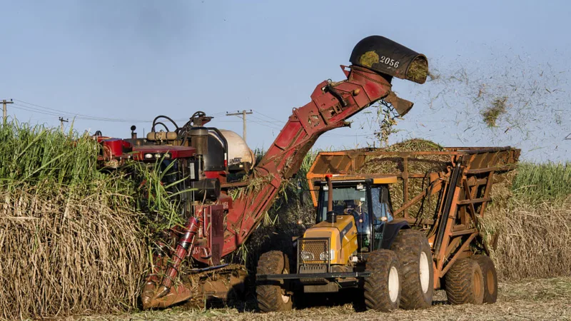 Jalles Machado (JALL3) fixa preço de R$ 8,30 por ação em IPO, diz jornal