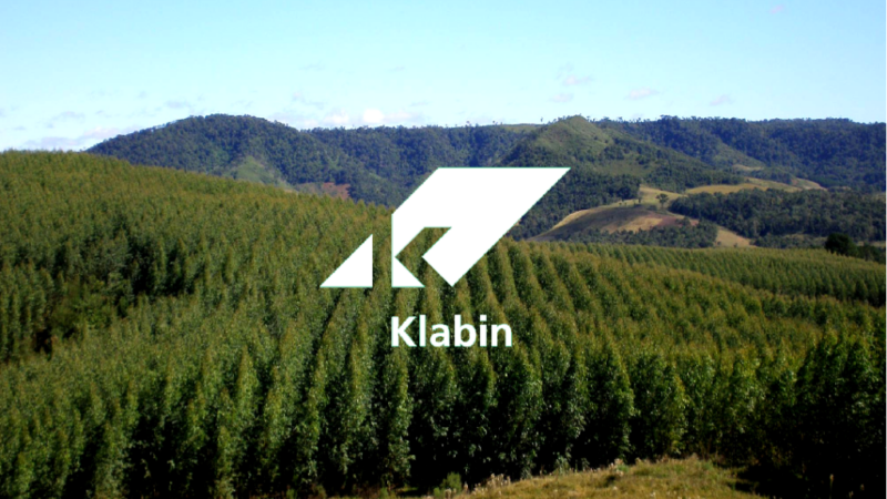 Klabin (KLBN11): efeito do câmbio provoca prejuízo em 2020, mas lucro dobra no 4T20