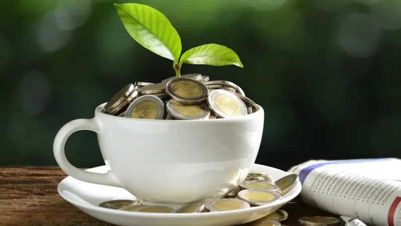 O que muda para o investidor com a potencial elevação da taxa Selic?