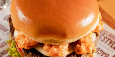 HSML11: Locação de lojas do Outback deve refletir positivamente na taxa de ocupação