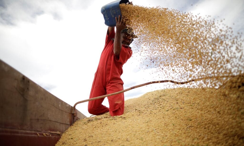 Fiagro: fundos começam a ser negociados em agosto