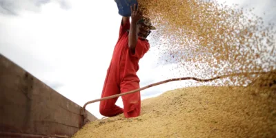 Com agronegócio forte, Brasil pode se tornar o maior exportador de grãos, diz Embrapa