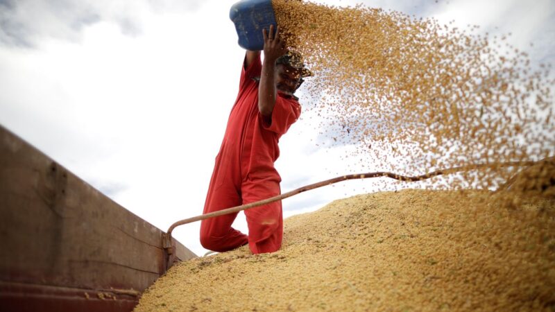 Com agronegócio forte, Brasil pode se tornar o maior exportador de grãos, diz Embrapa
