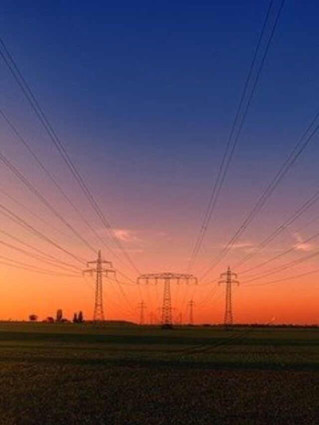 Setor elétrico é o preferido dos que buscam dividendos; entenda