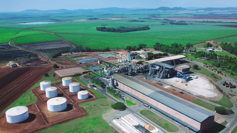 Jalles Machado (JALL3) recebe autorização para exportar açúcar aos EUA