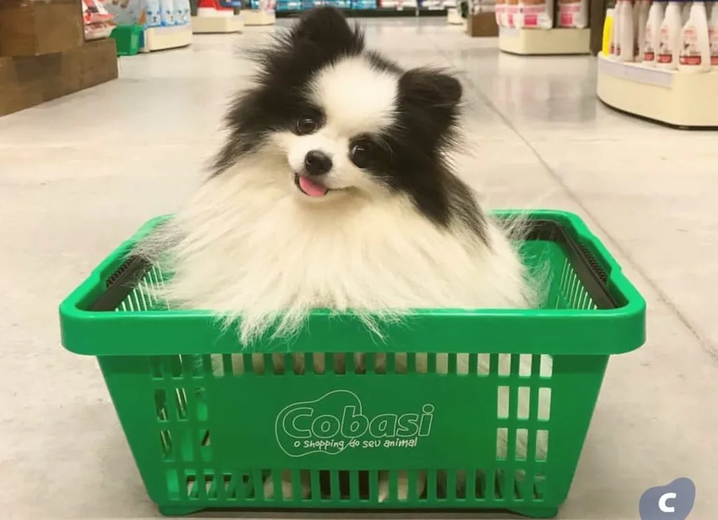 Cobasi