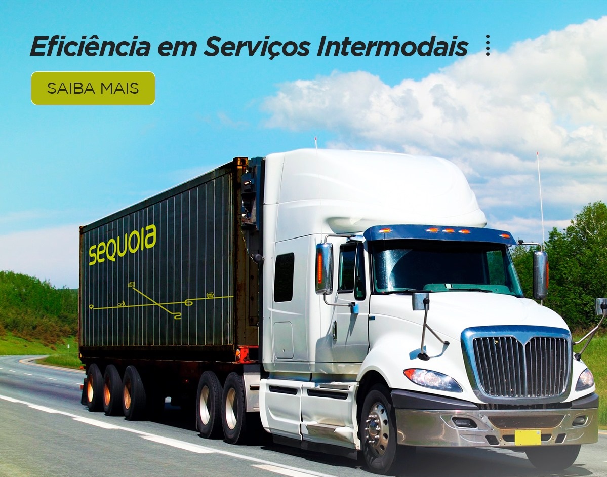 SEQL3 é uma ação interessante? Sequoia é uma boa oportunidade de  investimento? #investimentos 