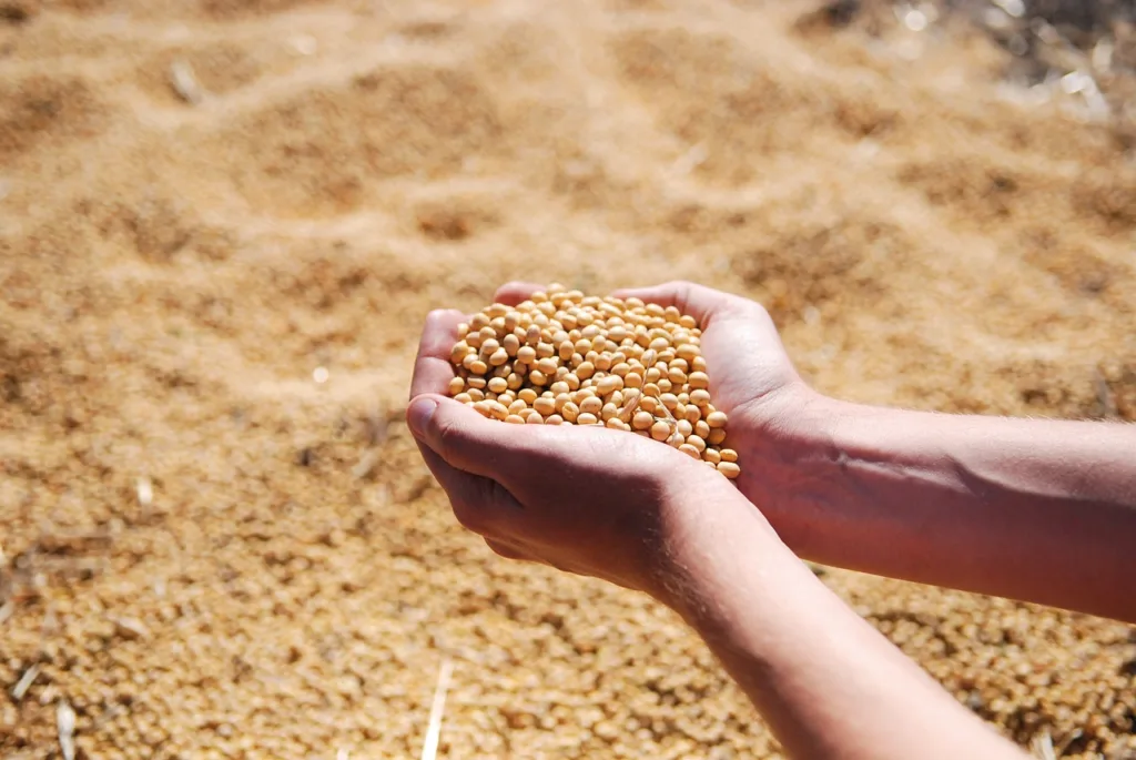 Humberg Agribrasil (GRAO3) desiste do IPO por razões de mercado