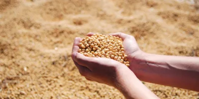 Mato Grosso ultrapassa Argentina e vira 3º maior produtor de soja do mundo