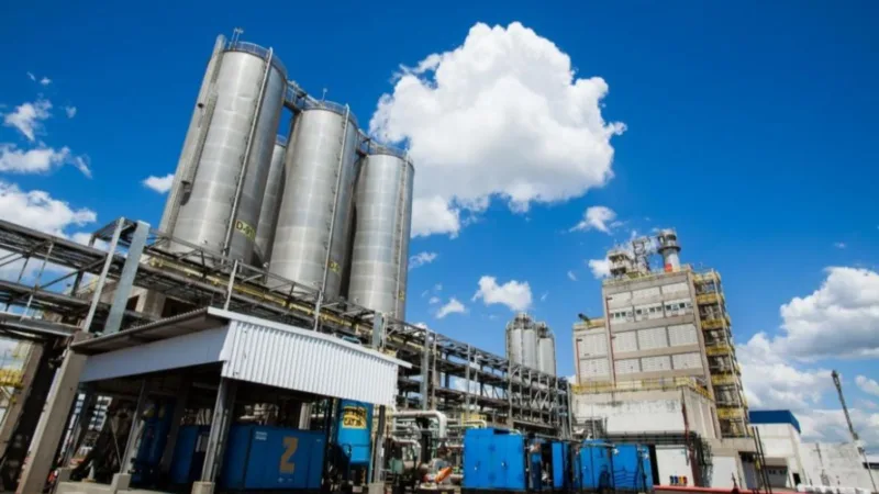 Ação da Braskem (BRKM5) salta 20,4% com nova proposta da Apollo