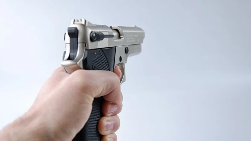 Liminar não gera efeito negativo para indústria das armas, diz associação