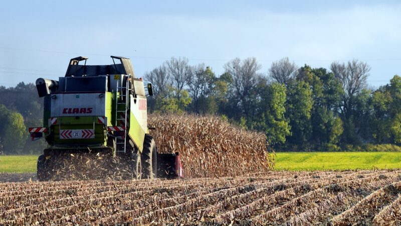 Agronegócio: produção agrícola deve atingir 269,3 milhões de toneladas na safra 2022
