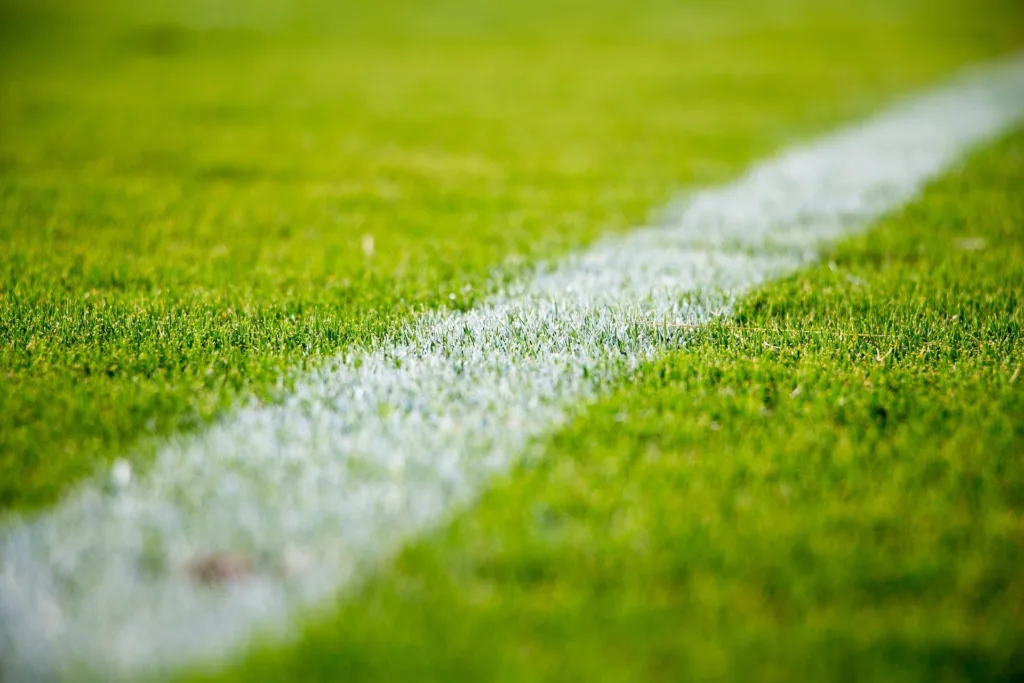 Copa Suno: Copel (CPLE6) vs. Sanepar (SAPR4) e Petrobras (PETR4) vs. WEG (WEGE3)