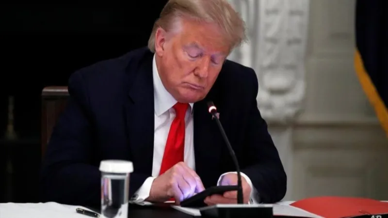 Tarifaço de Trump pode gerar perda de R$ 180 mi para a indústria de cacau brasileira