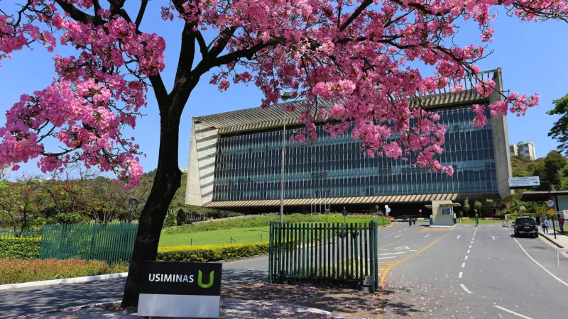 Usiminas (USIM5): ações caem com aumento de projeções de investimentos em reformas