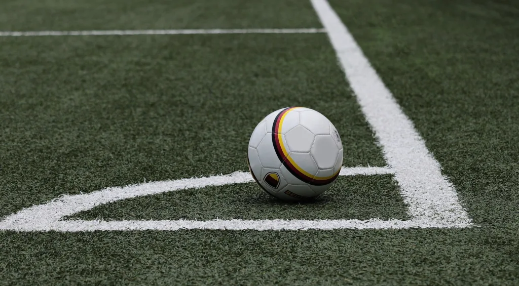 Copa Suno. Foto: Pixabay
