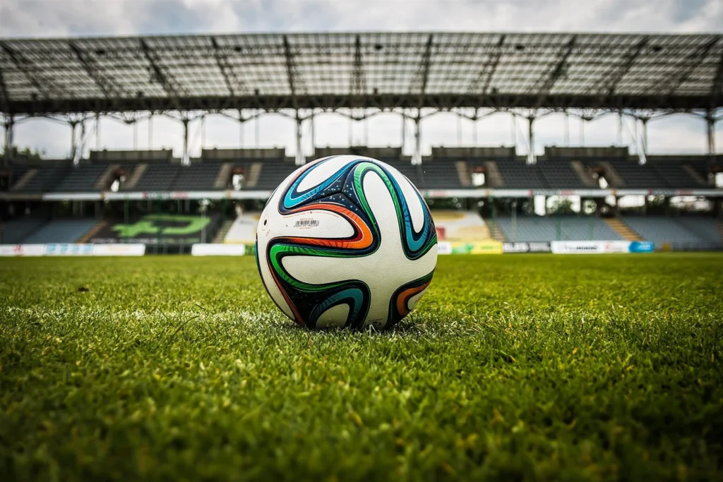 Copa Suno. Foto: Pixabay