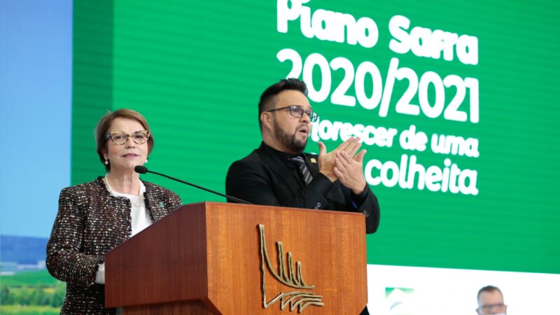 Plano Safra 2021/2022 oferecerá R$ 251,22 bilhões para produtores rurais
