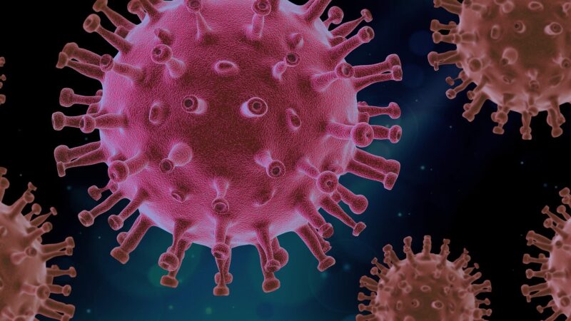 Ômicron: OMS diz que nova variante de coronavírus é “preocupante”