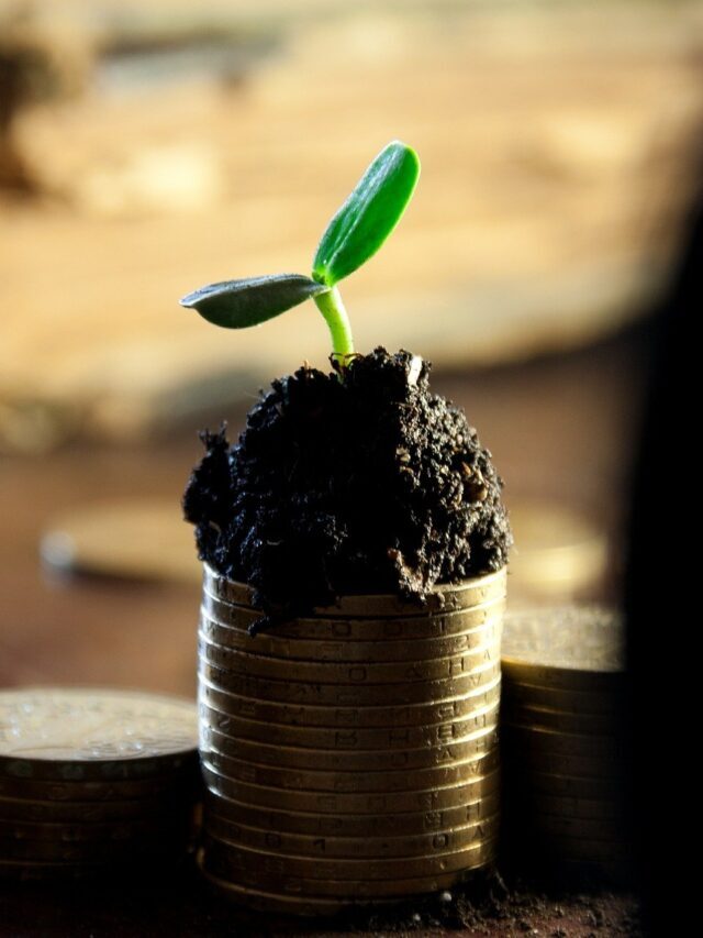 Dividendos: Veja as 5 ações da bolsa que pagam mais