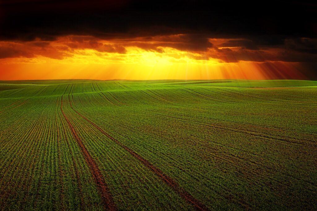 O VBP da produção do agro atingiu R$ 1,129 trilhão em 2021 - Foto: Pixabay