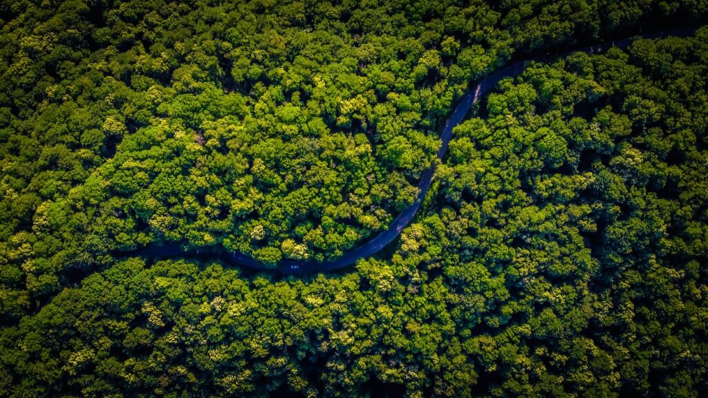 Governo abre consulta sobre certificação verde de produtos da Amazônia