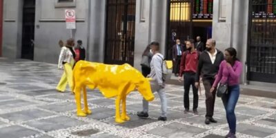 Vaca magra substitui Touro de Ouro na porta da B3 (B3SA3)