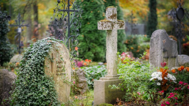 Diferentões: conheça 5 dos fundos imobiliários mais originais, de cemitérios aos de agronegócio