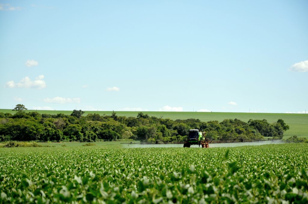 Consultorias reduzem pela segunda vez estimativa de produção de soja no País. Foto: Pixabay
