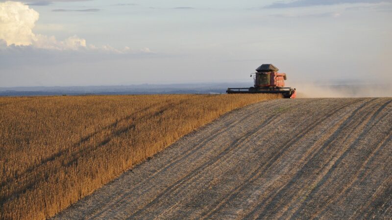 Quantidade de Fiagros listados na B3 cresce 60% em 20 dias